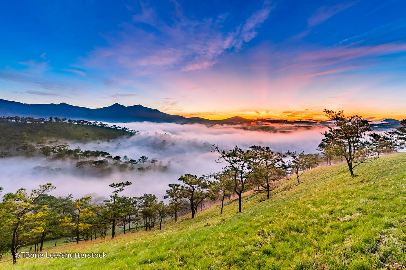 top-must-see-dalat-attractions