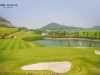 Amber Hill Golf & Resort
